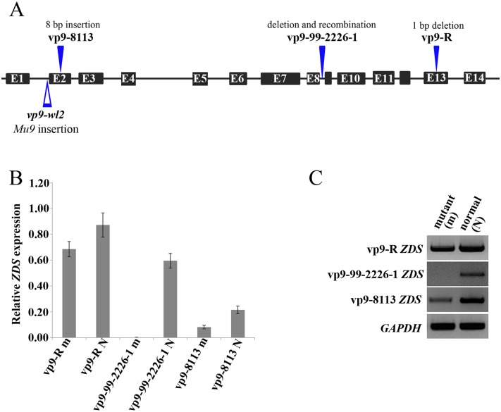 Fig 4