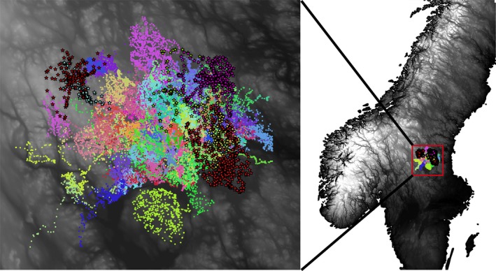 Figure 2