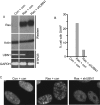 FIG. 9.