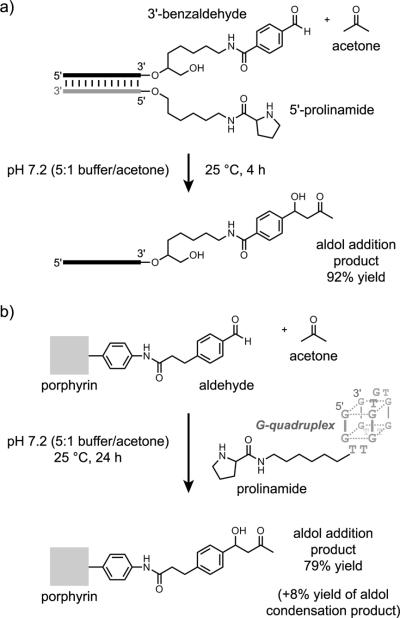 Figure 23