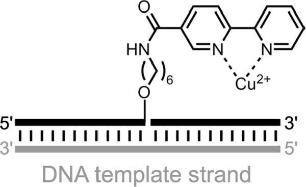 Figure 29