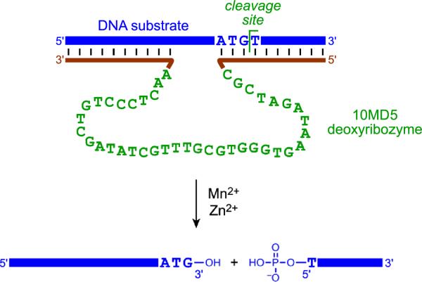 Figure 10