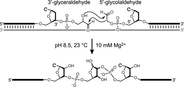 Figure 19