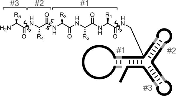 Figure 21