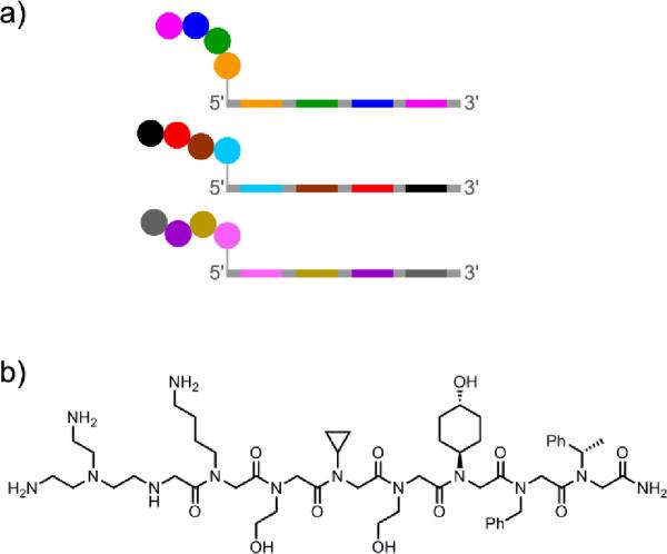 Figure 24