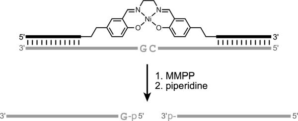 Figure 22