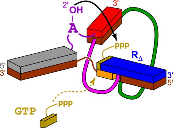 Figure 12