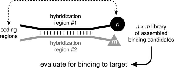 Figure 25