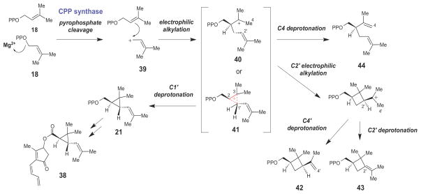 Scheme 5