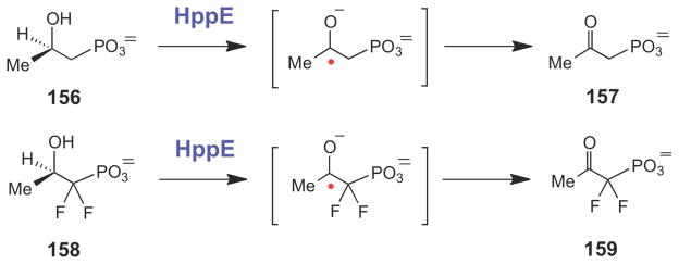 Scheme 25