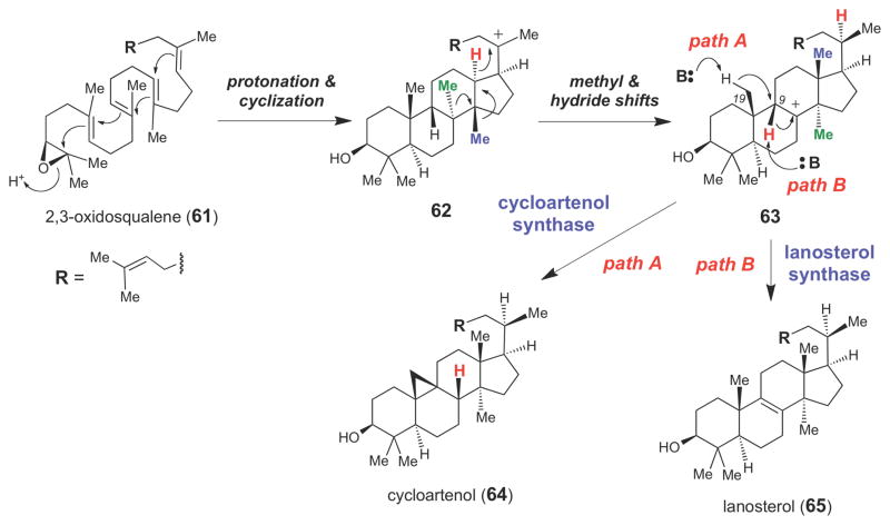 Scheme 9