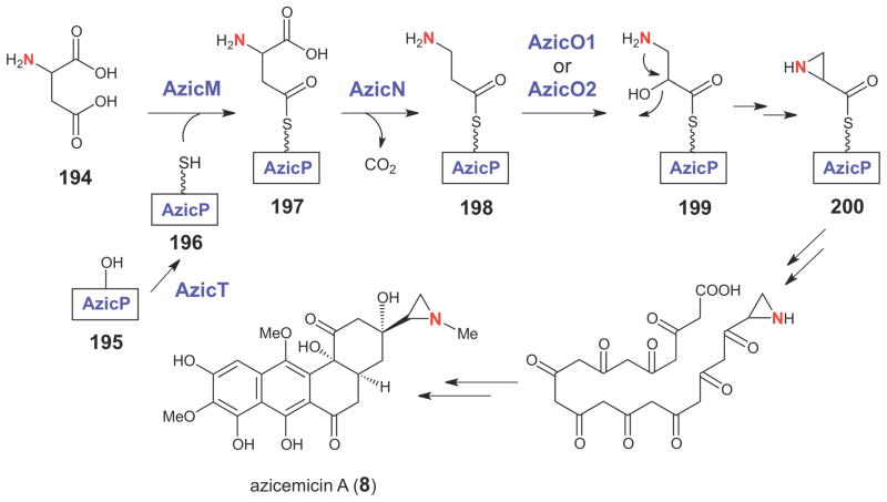 Scheme 34