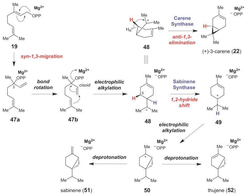 Scheme 7