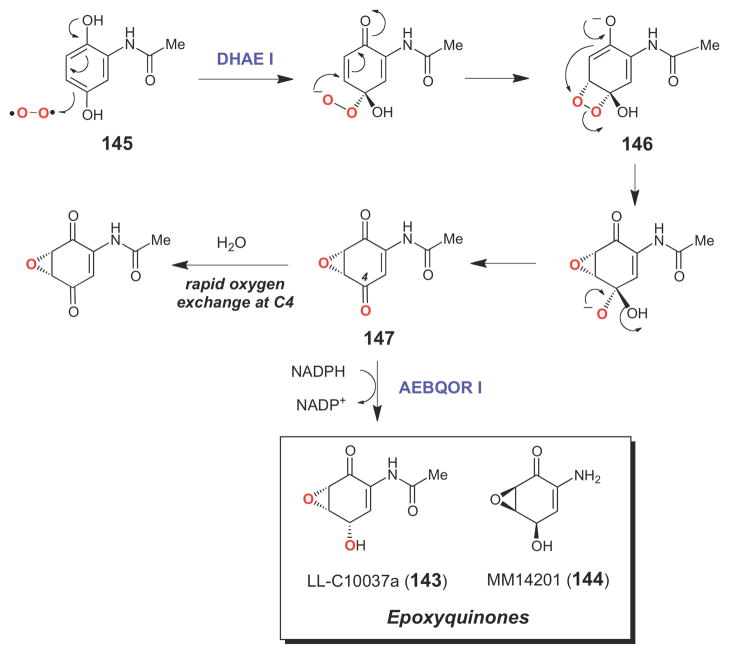 Scheme 22