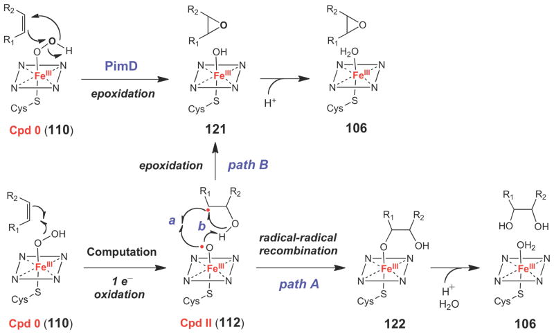 Scheme 18