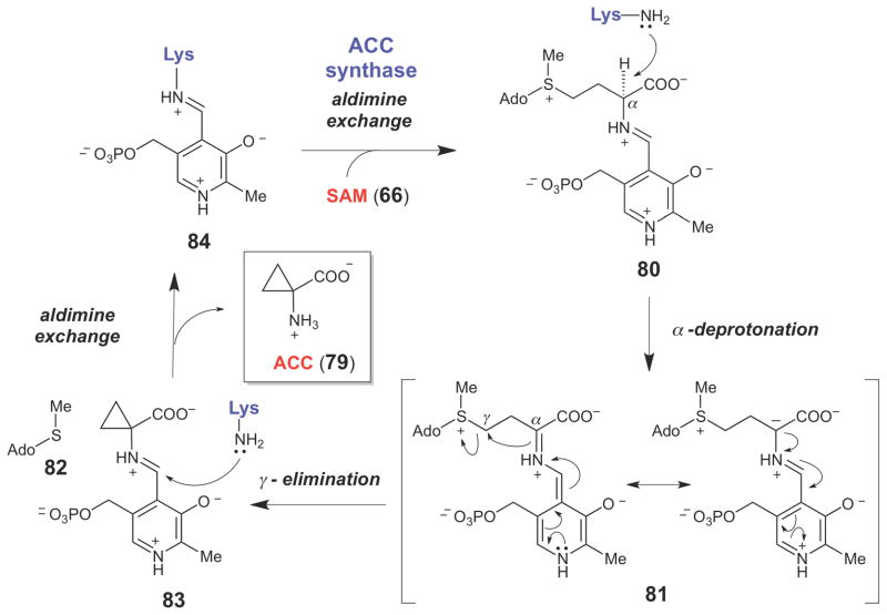 Scheme 12