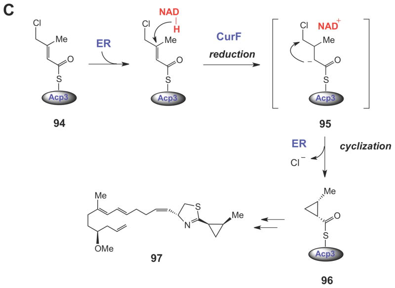 Scheme 13