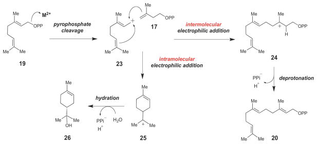 Scheme 3