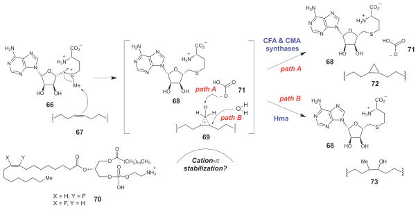 Scheme 10