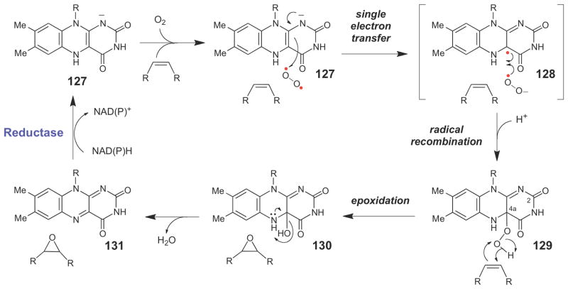 Scheme 20