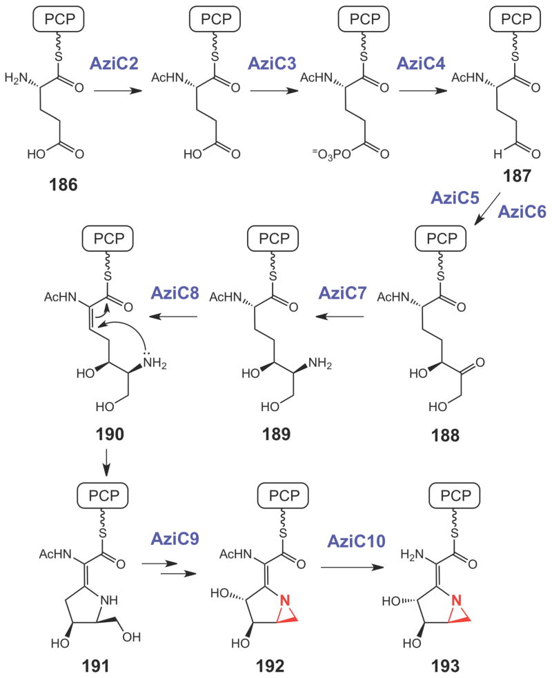 Scheme 33