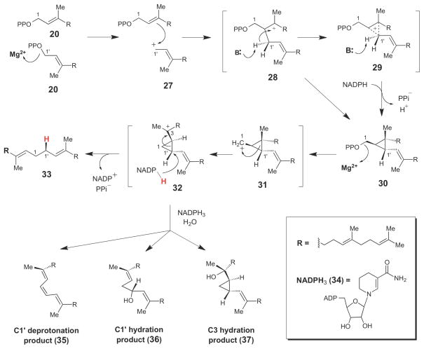 Scheme 4