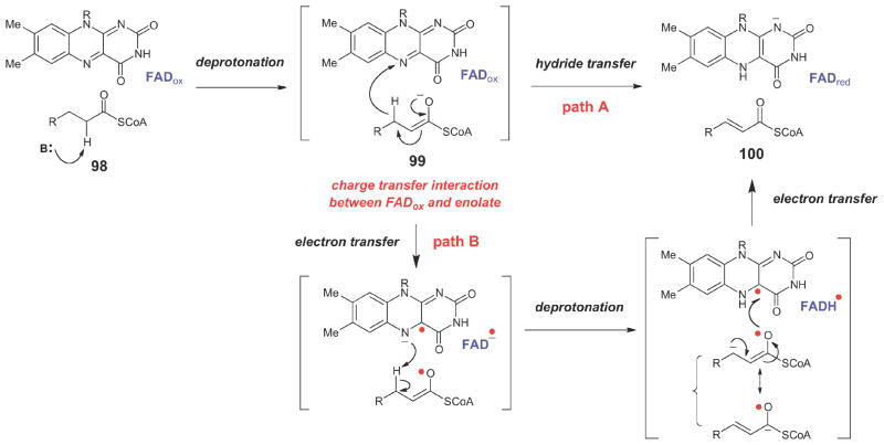 Scheme 14