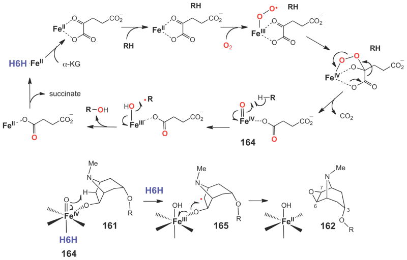 Scheme 27