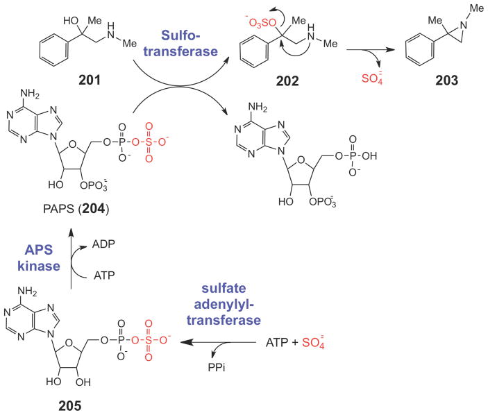 Scheme 35