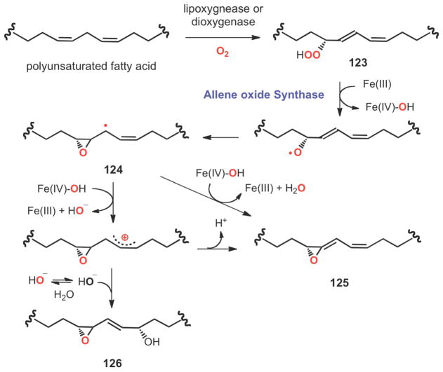 Scheme 19