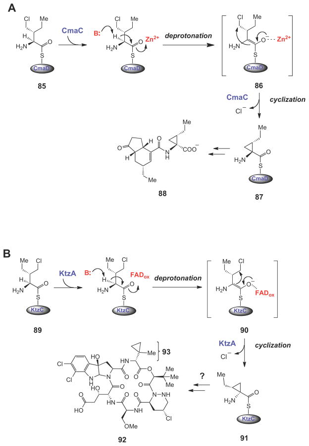 Scheme 13