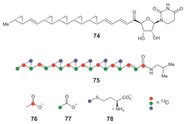 Scheme 11