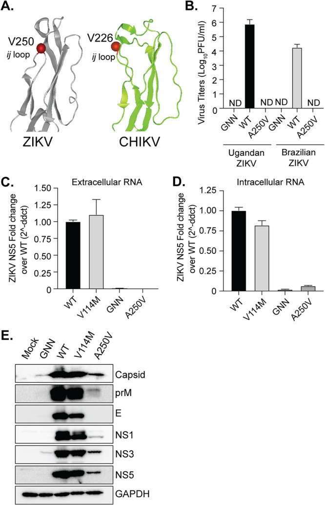 FIG 6