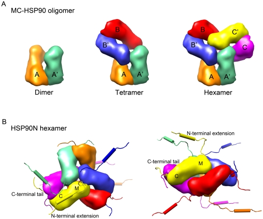 Figure 7