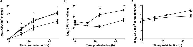 FIG 4