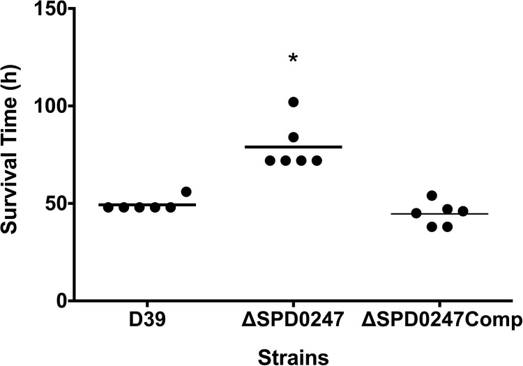 FIG 3