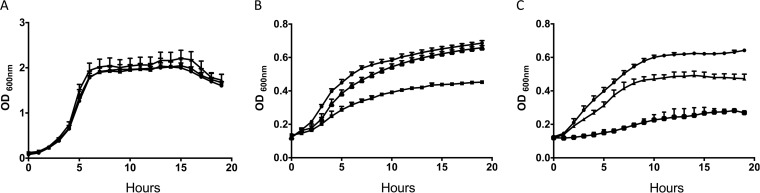 FIG 2