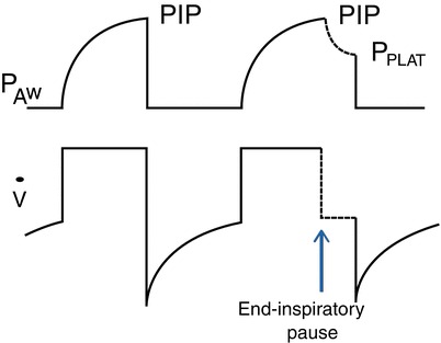 Fig. 24.2