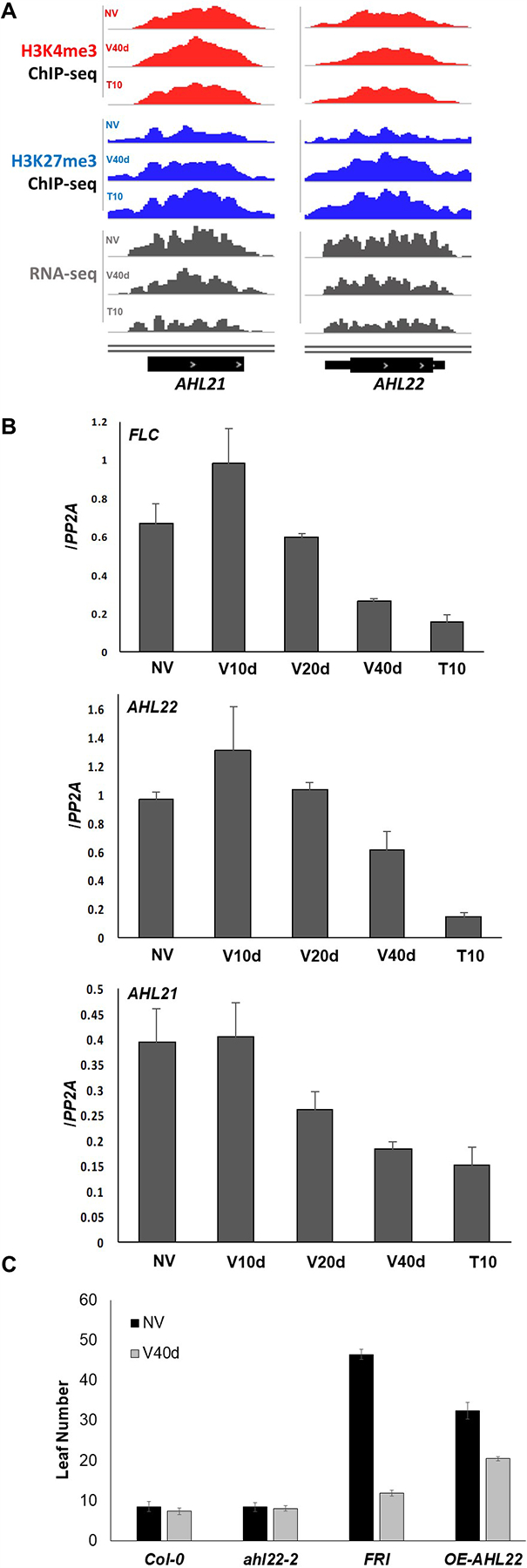 Figure 6.