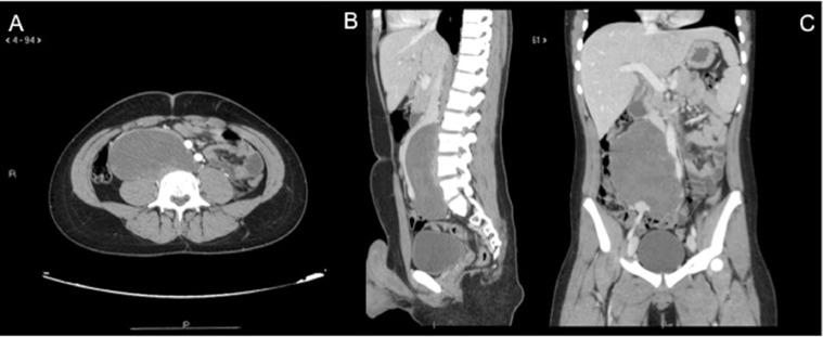 Fig. 3