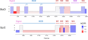 Figure 12: