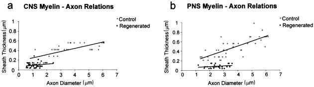 Fig. 11