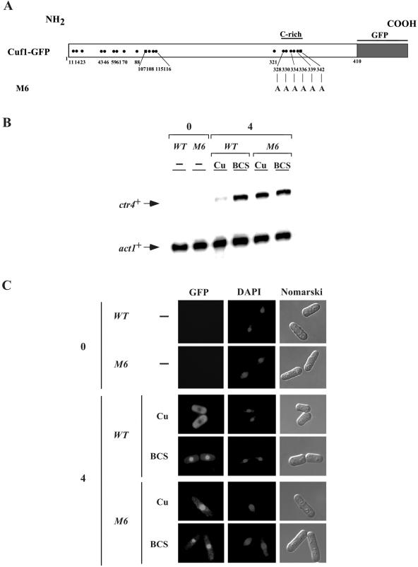 FIG. 8.