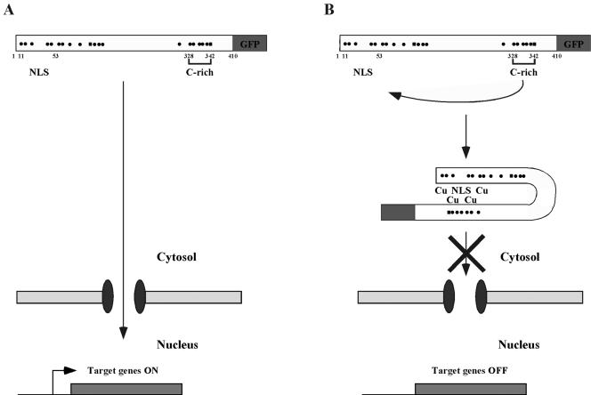 FIG. 11.