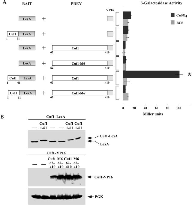 FIG. 10.