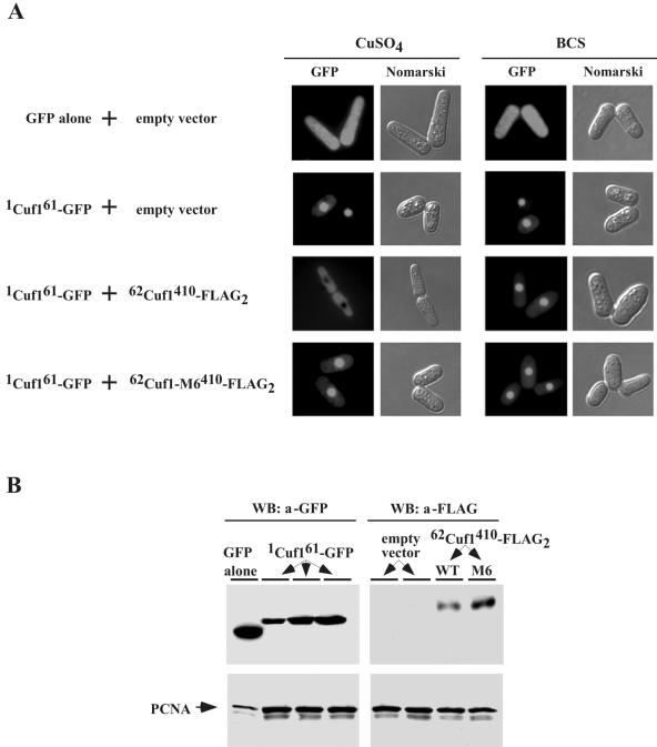 FIG. 9.