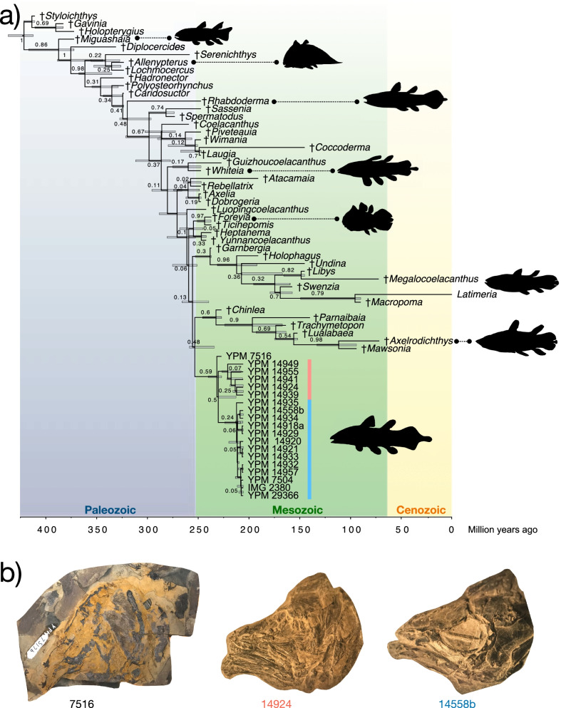 Fig. 3