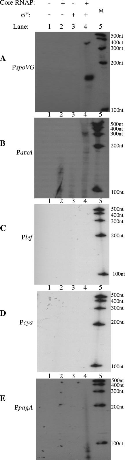 FIG. 5.