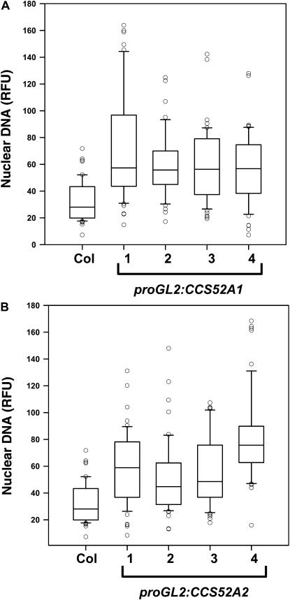 Figure 5.—