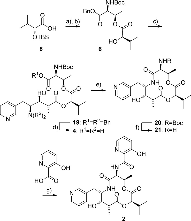 Scheme 4